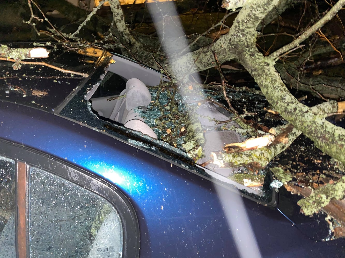 PHOTOS: High winds cause heavy damage in Troy