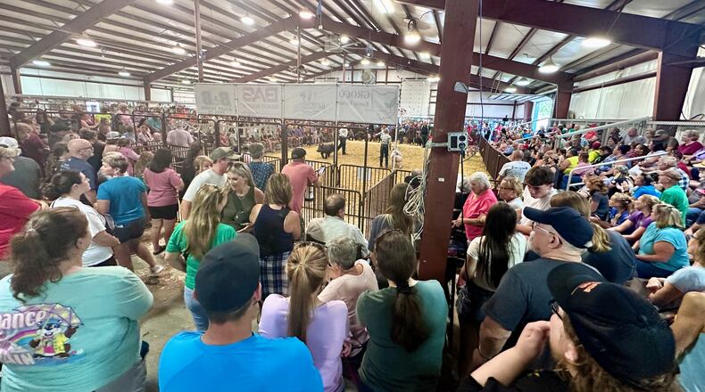 It was standing room only for swine showmanship at the Greene County Fair in Xenia on July 29, 2024. (Photo: Marcus Hartman/STAFF)