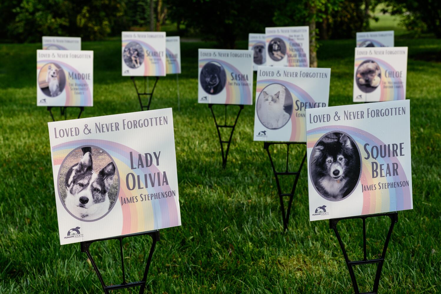 PHOTOS: Did we spot you at the Furry Skurry 5K at Stubbs Park in Centerville?
