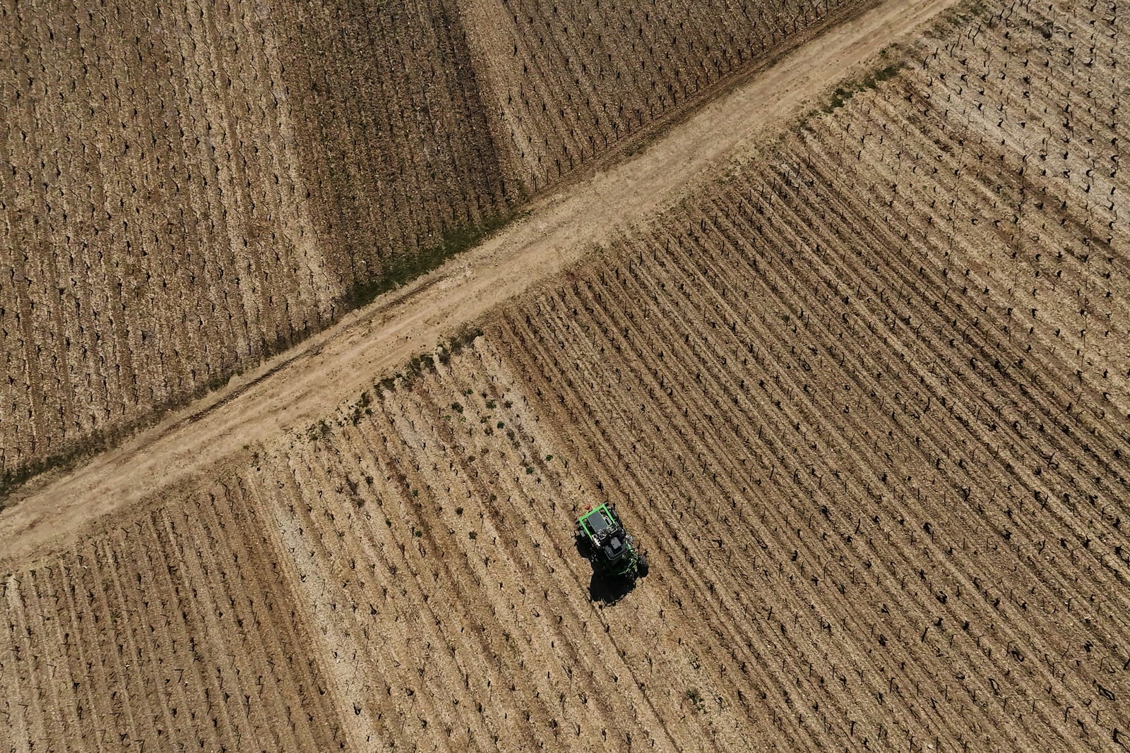 A tractor driving through the Chablis vineyards in Chablis, Burgundy region, eastern France, Thursday, April 3, 2025. (AP Photo/Thibault Camus)