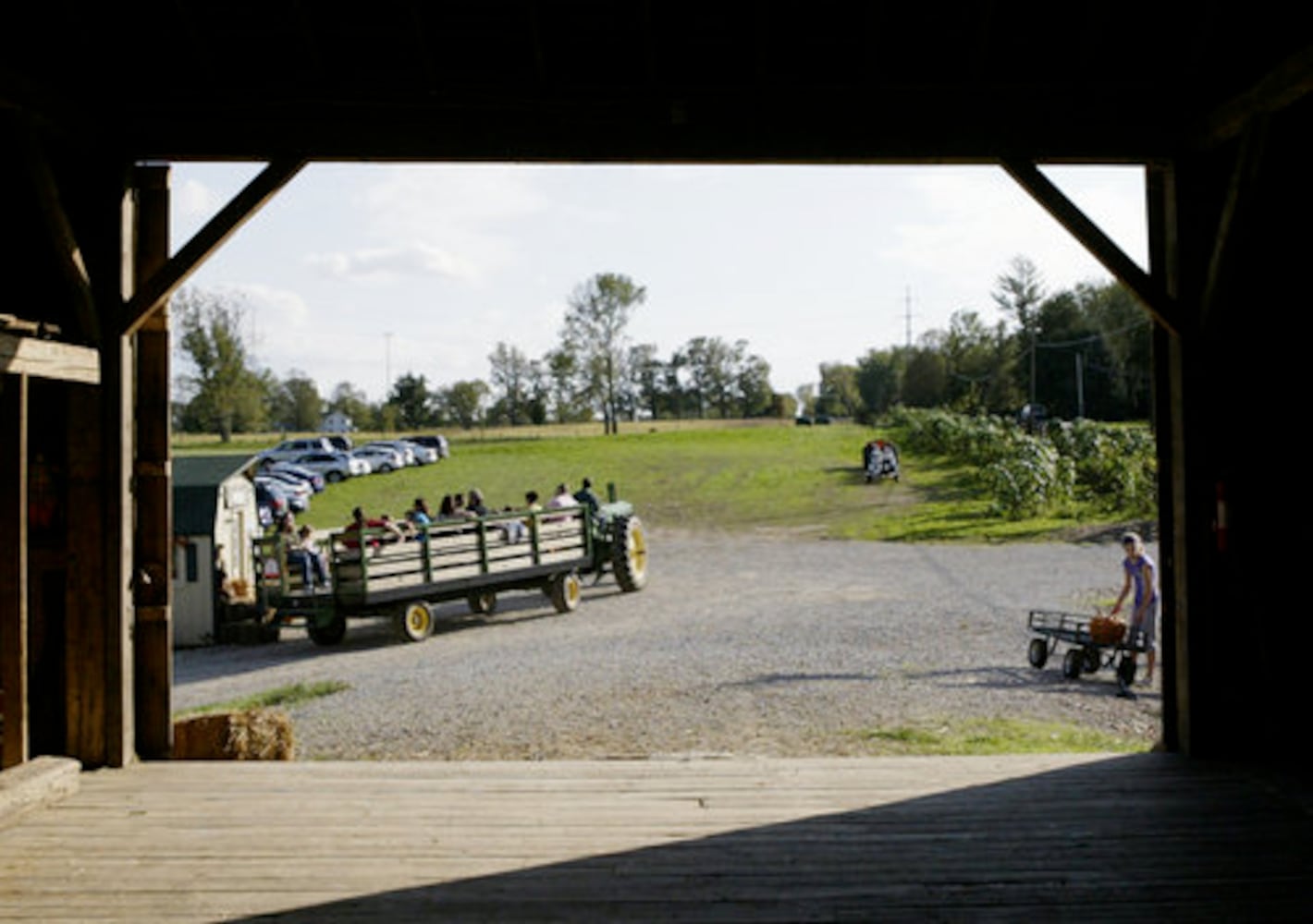 Adventure Acres Corn Maze