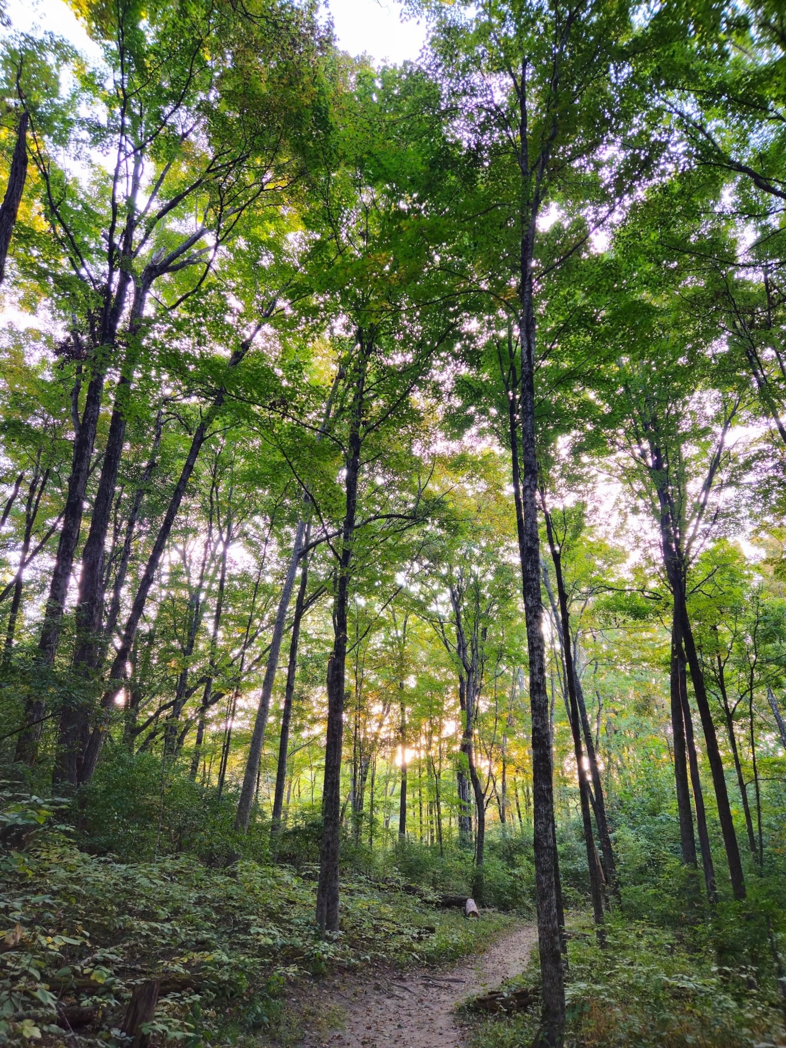 The mindfulness-focused Silent Hike Club was created as an antidote to the fast-paced rhythms of modern life. CONTRIBUTED