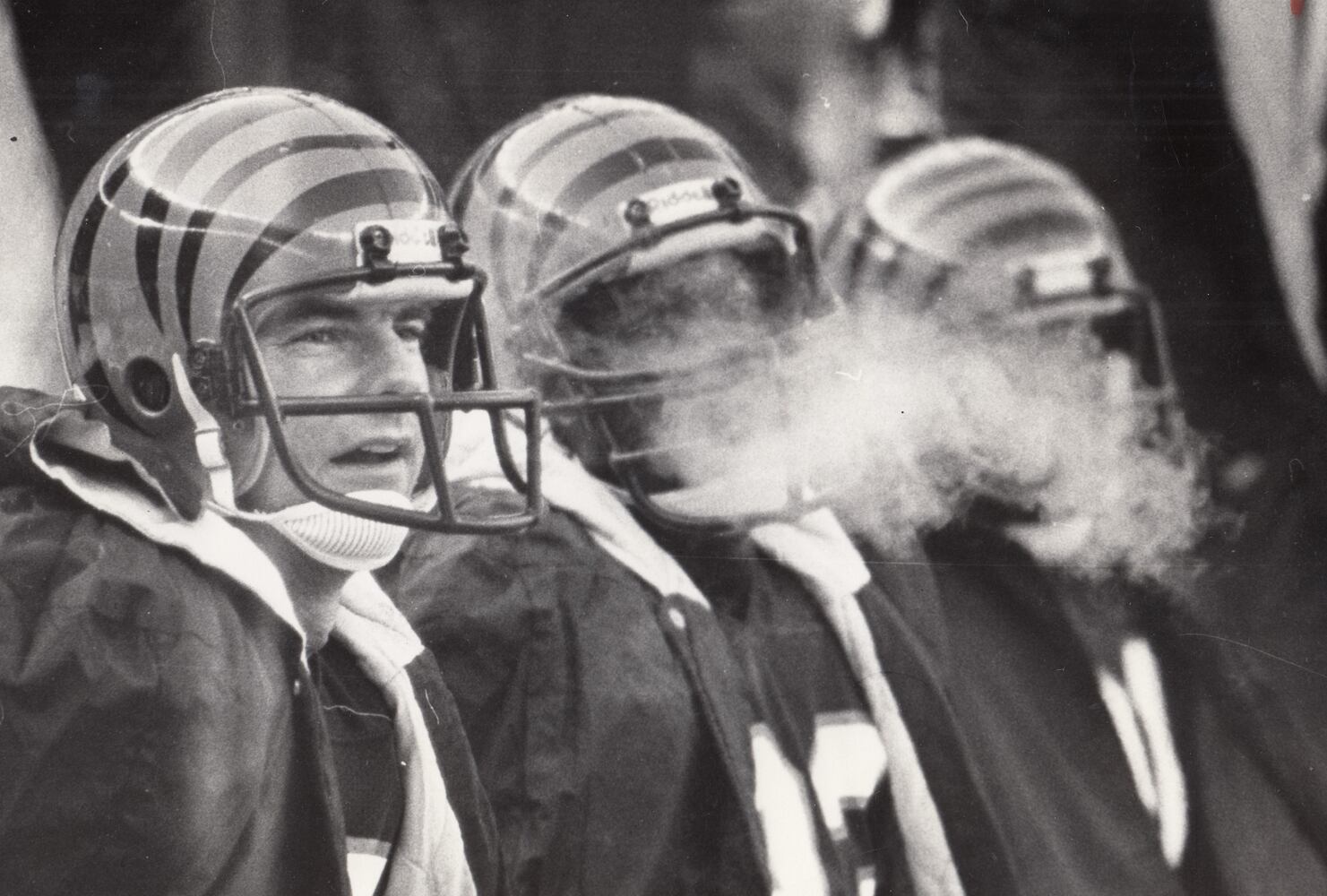 bengals 1982 freezer