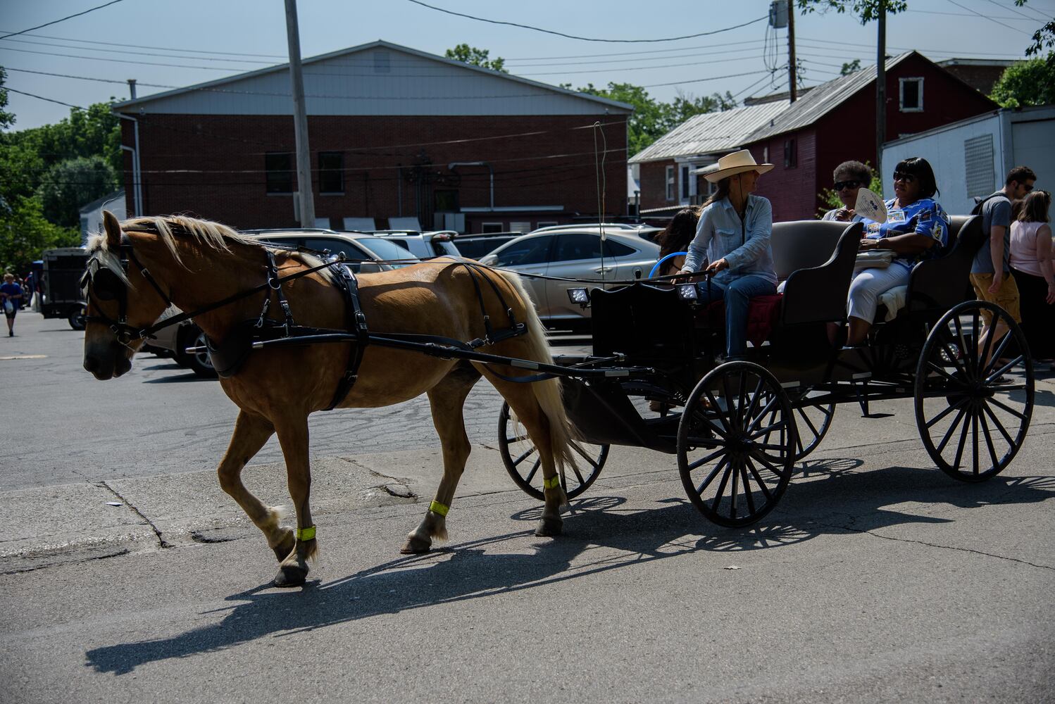 PHOTOS: Did we spot you at the Yellow Springs Street Fair?