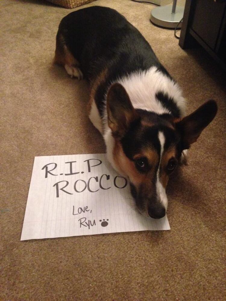 RIP Rocco