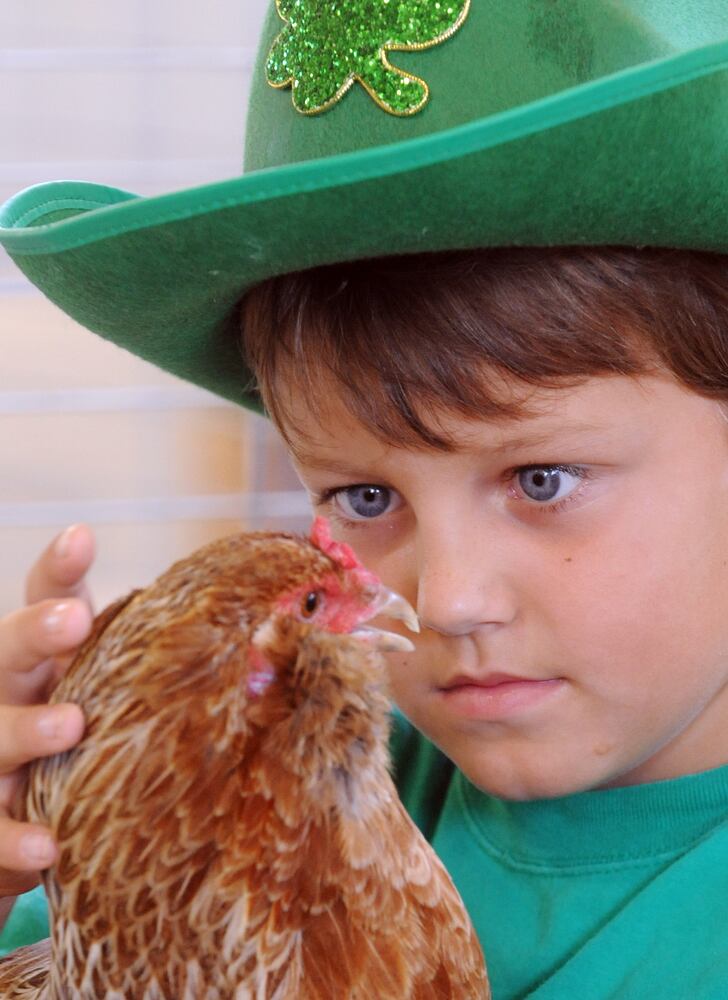 Llamas, goats and kids: 9 wacky images from the Warren County Fair