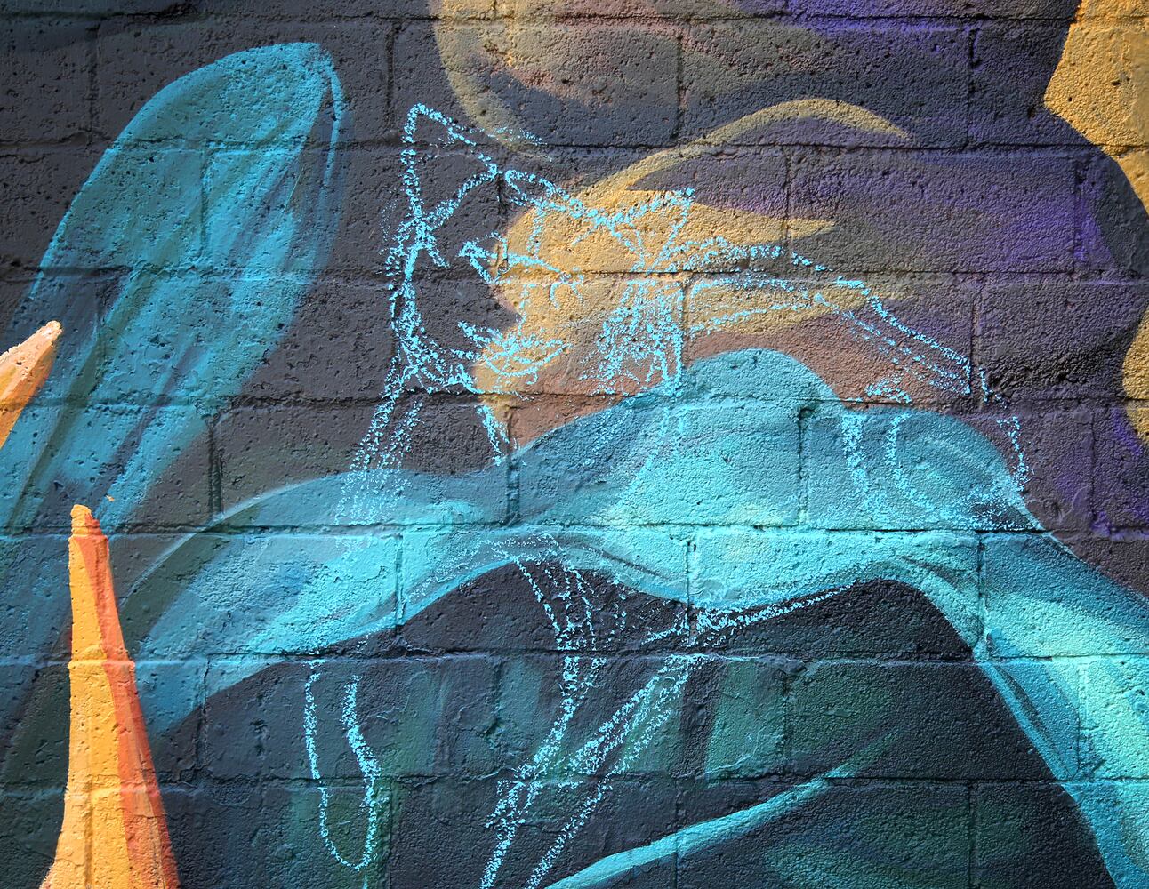 Cat mural in Dayton's Oregon District