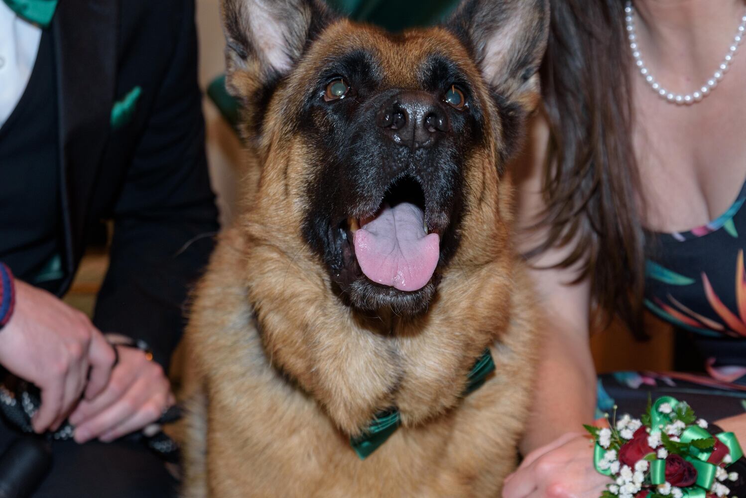PHOTOS: Did we spot you at the Pet Afflaire Gala at the Dayton Arcade?