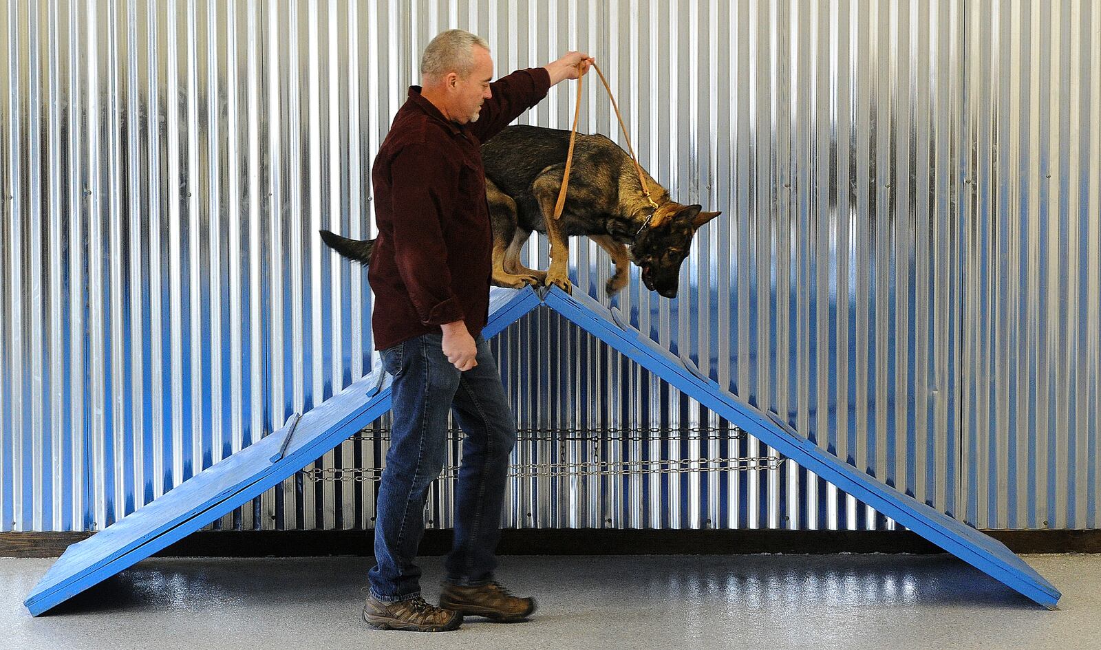 Steve Dunham works with Anja, a German Shepherd at Dog Training Personalized in Kettering. MARSHALL GORBY\STAFF