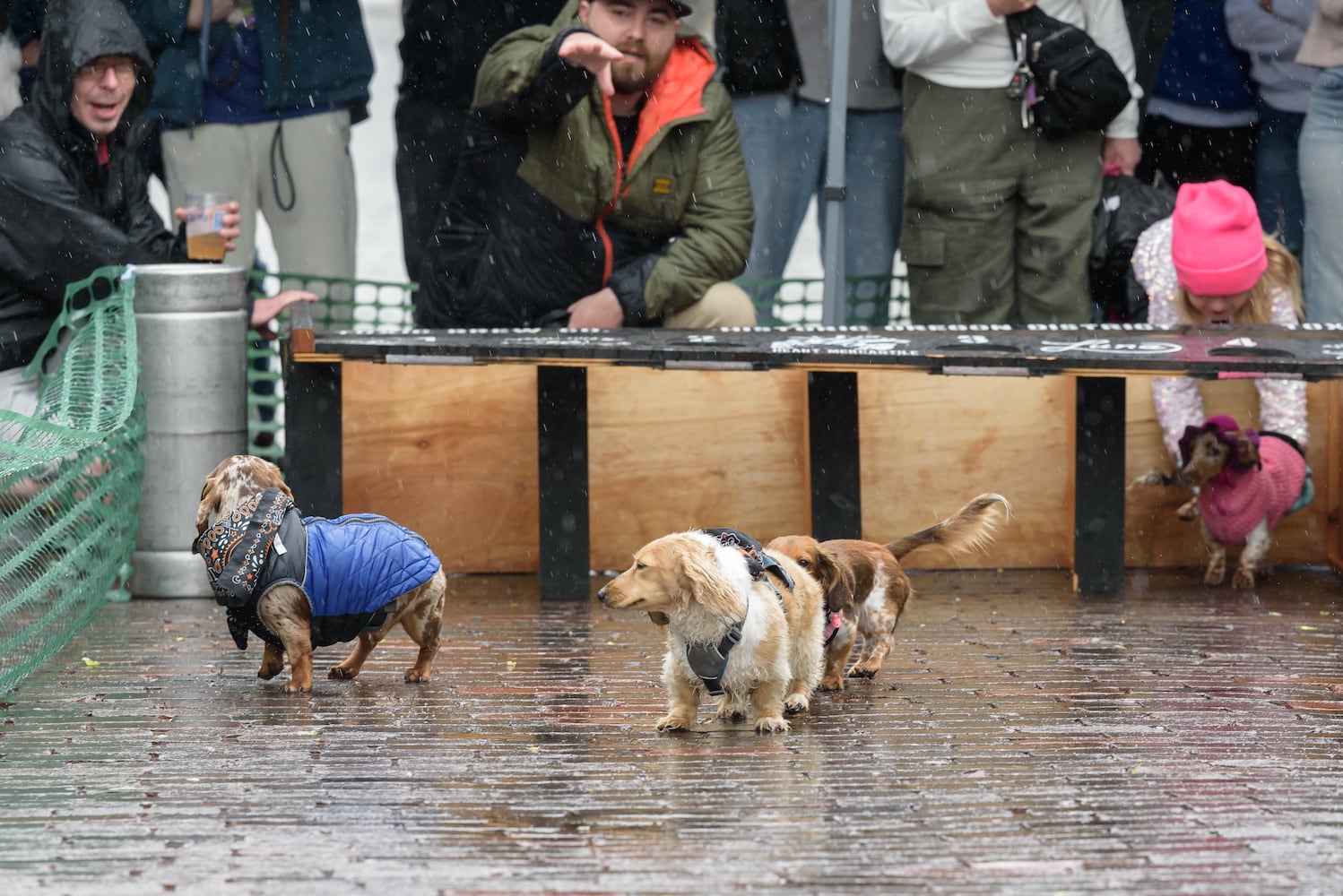PHOTOS: 2025 Derby Day wiener dog races in the Oregon District