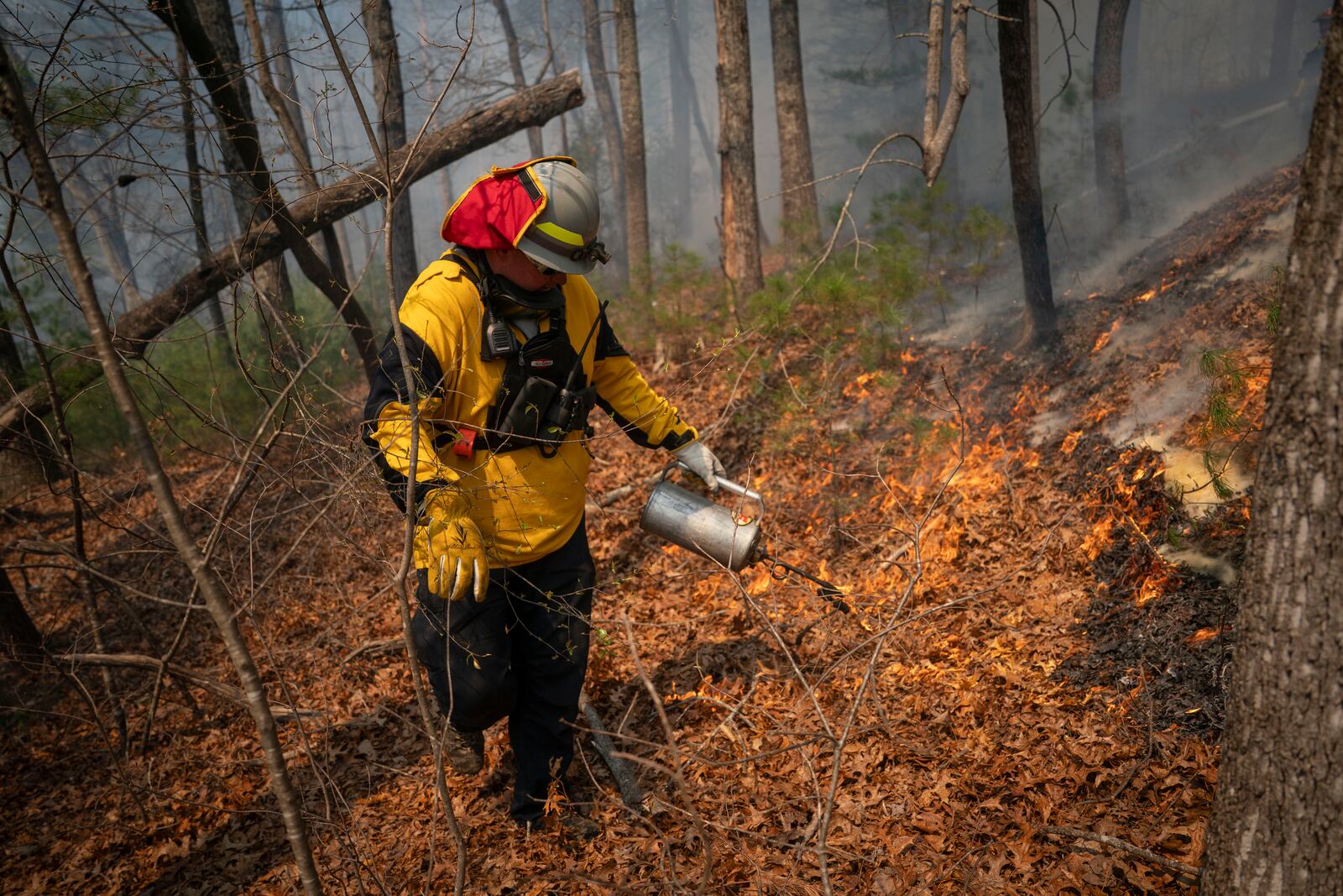 Firefighter John Ward lights a backburn to control the Black Cove Fire Wednesday, March 26, 2025, in Saluda, N.C.. (AP Photo/Allison Joyce)