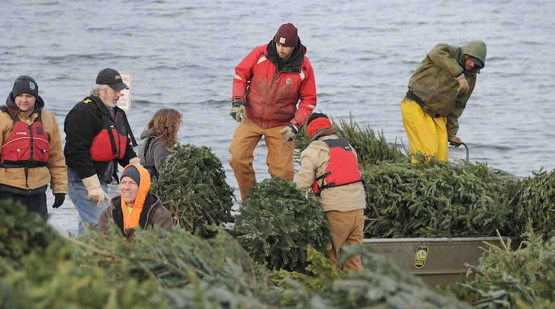 Five Rivers MetroParks’ staff and volunteers sank hundreds of holiday trees donated by the community into Eastwood Lake Wednesday morning, Jan. 19, 2022. MARSHALL GORBY\STAFF