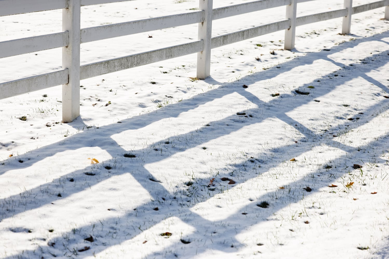 111025 snow cox carm