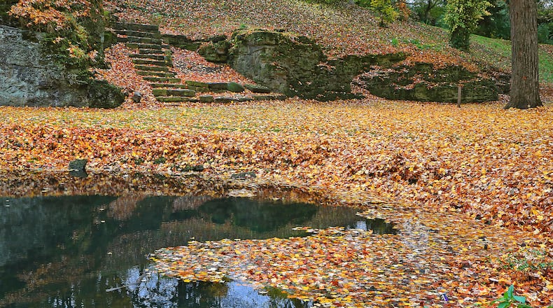 As the air gets cooler and days get shorter, the trees in the Clark County area have began to show their fall colors. With patches of bright reds and yellows mixed in with the green leaves, Mother Nature is letting us know that winter is on it's way. BILL LACKEY/STAFF