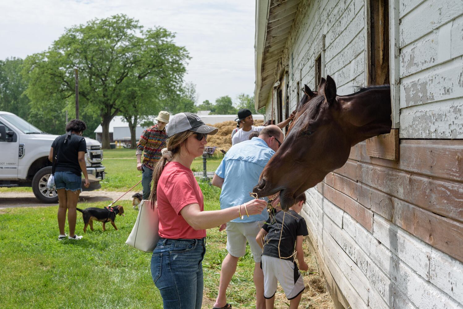 PHOTOS: Did we spot you at the Miami County Food Truck Rally & Competition in Troy?