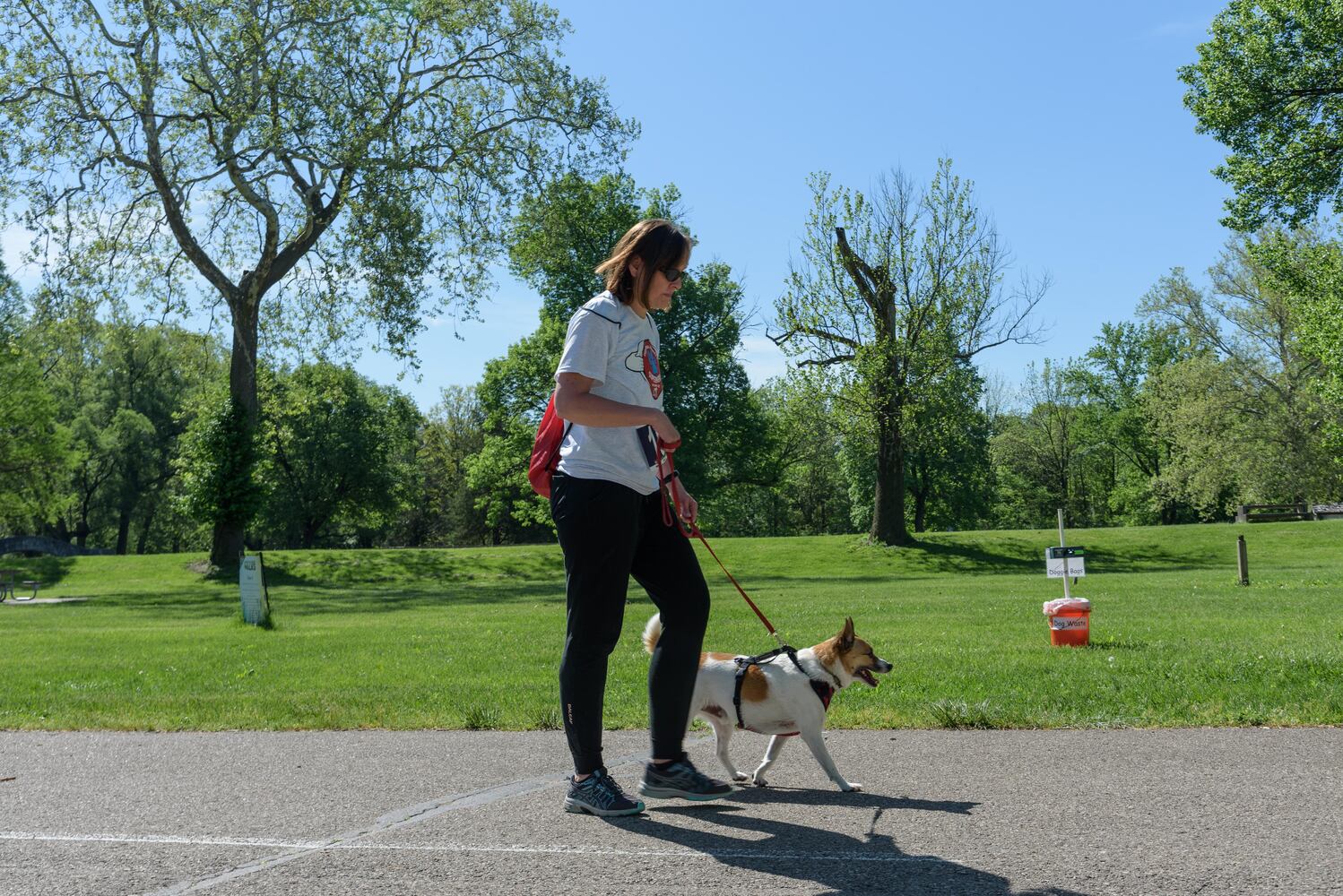 PHOTOS: Did we spot you and your doggie during the Furry Skurry 5K & Furry Fest at Eastwood MetroPark?