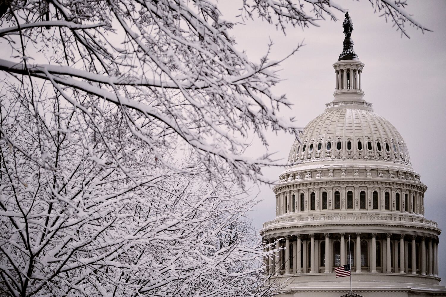 Snow covered trees frame the Capitol during a snowstorm in Washington on Monday, Jan. 3, 2022. (T.J. Kirkpatrick/The New York Times)