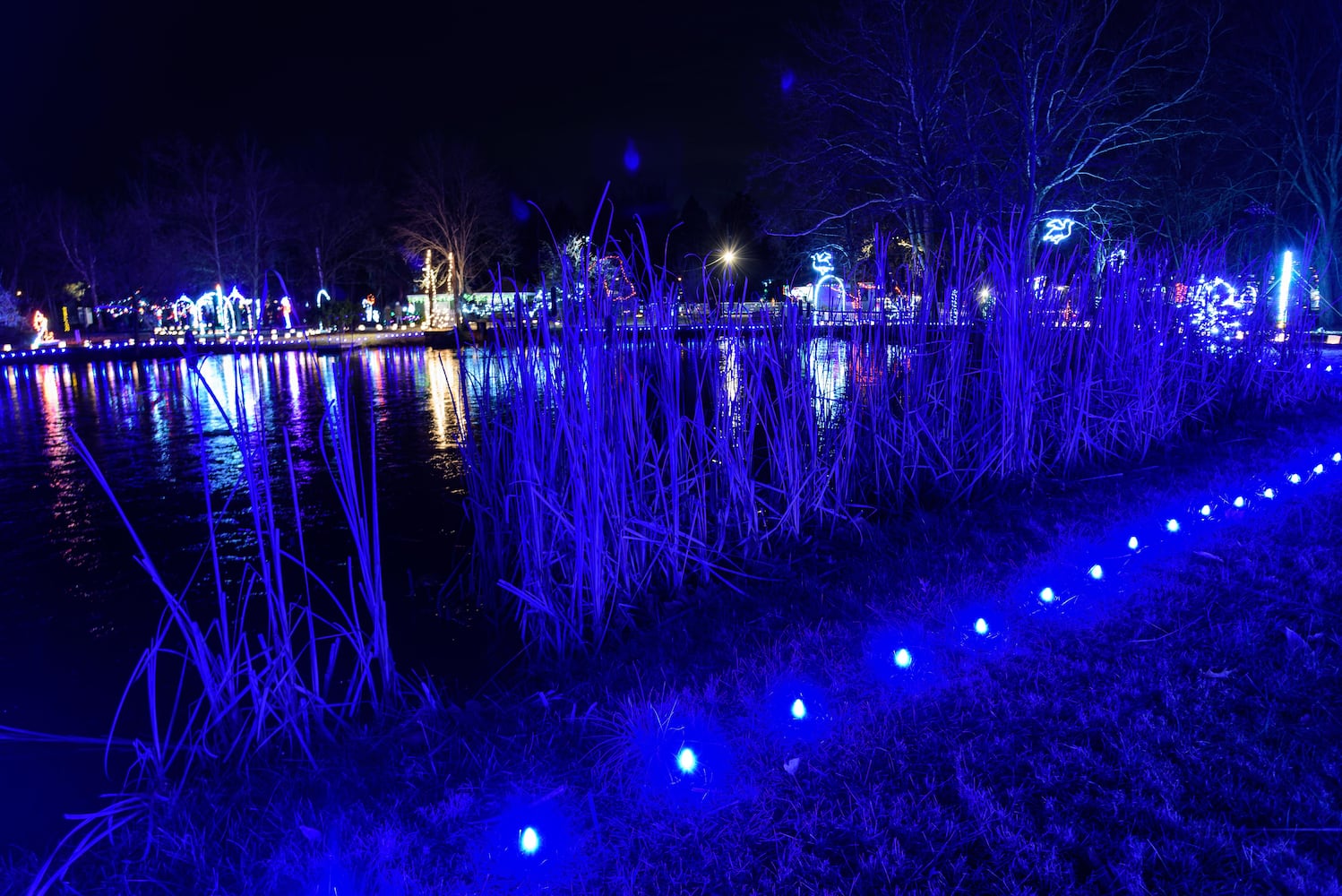 PHOTOS: A walk through Woodland Lights in Washington Township