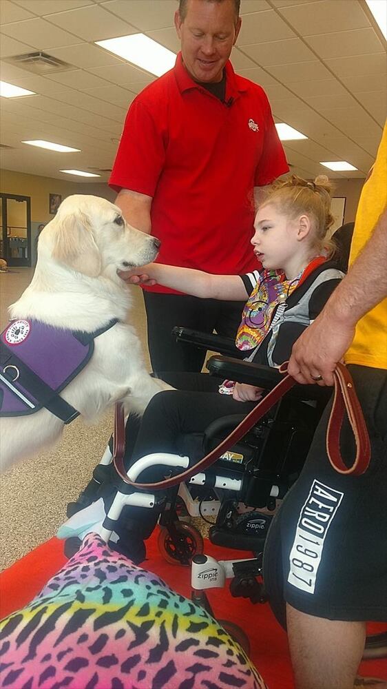 PHOTOS: Behind the scenes of ‘4 Paws For Ability’ featured on new Netflix hit series, ‘DOGS’