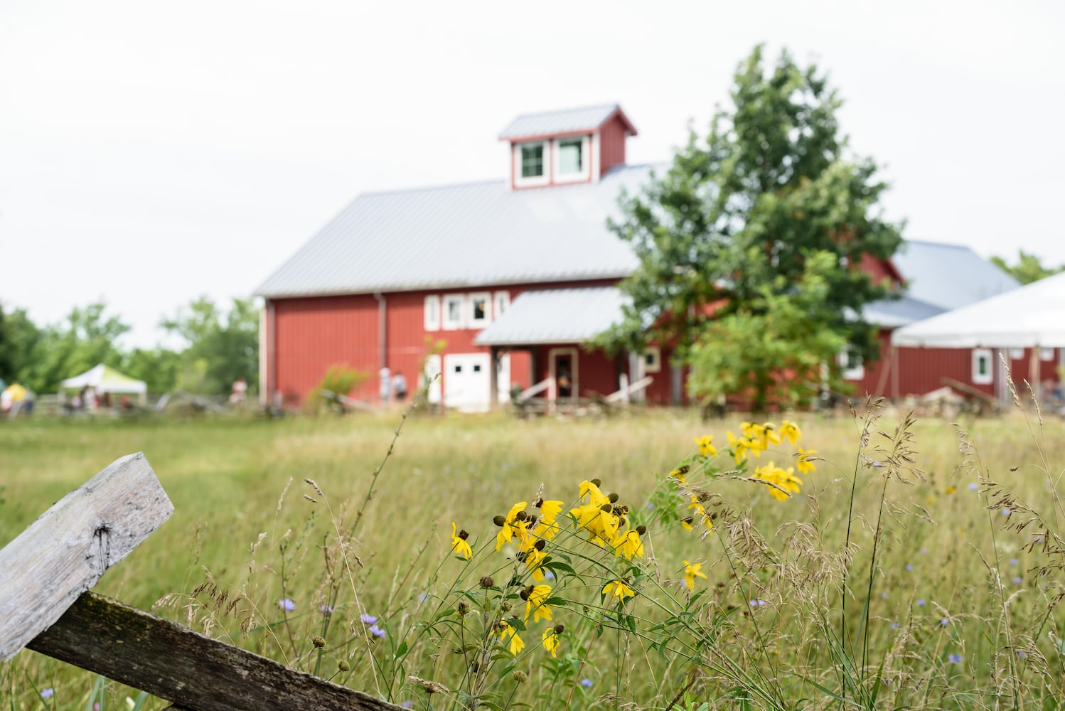 PHOTOS: 2025 Small Farm & Food Fest at Carriage Hill MetroPark
