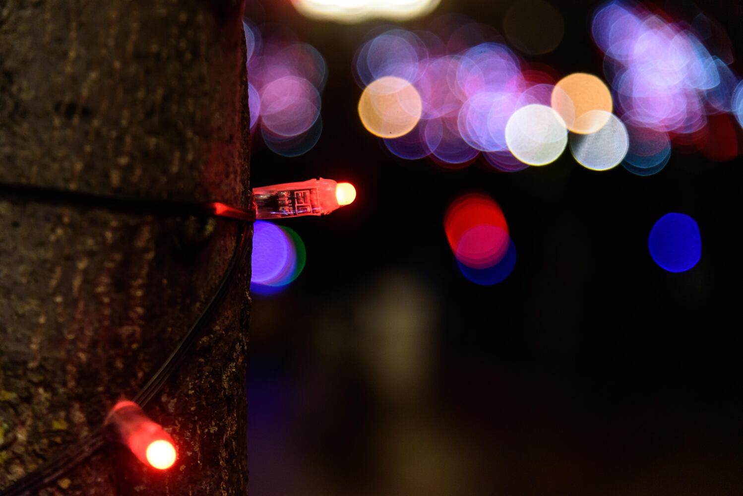 PHOTOS: Did we spot you at the 51st annual Dayton Holiday Festival Grande Illumination & Parade?