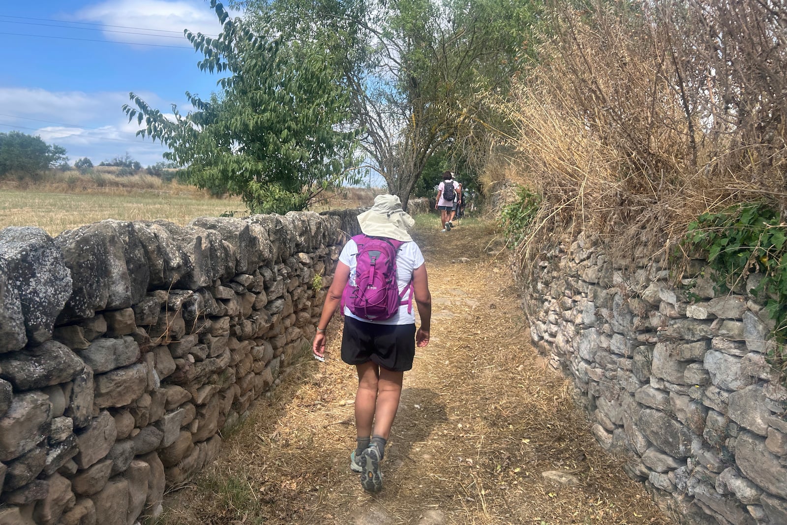 A pilgrim walks along the Ignatian Way heading towards Manresa, Spain, Wednesday, July 9, 2025. (AP Photo/Joseph Wilson)