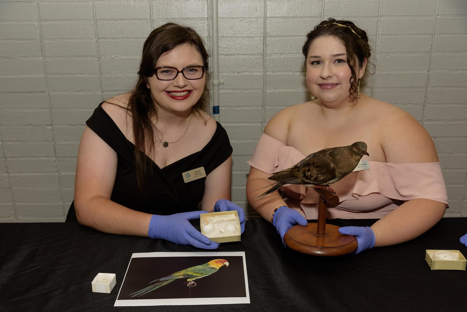 PHOTOS: Did we spot you at Eco Bash: Dayton's Dinosaur at the Boonshoft Museum of Discovery?