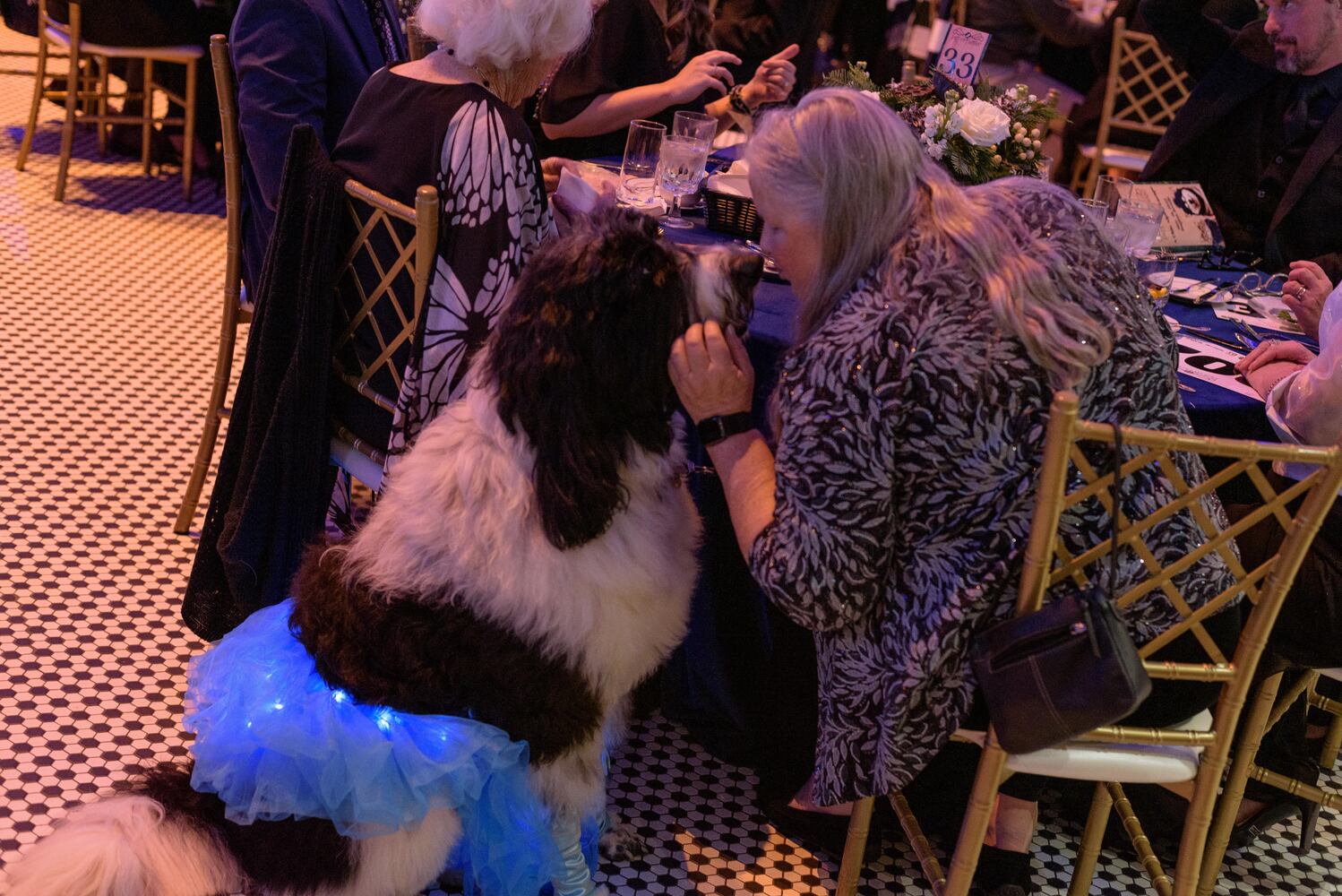 PHOTOS: Did we spot you at the Pet Afflaire Gala at the Dayton Arcade?