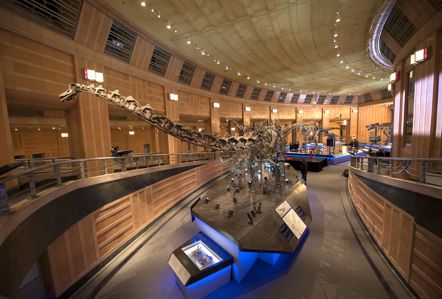 PHOTOS: Cincinnati Museum Center reopens with dinosaurs 60-feet tall and mysteries of the Maya civilization