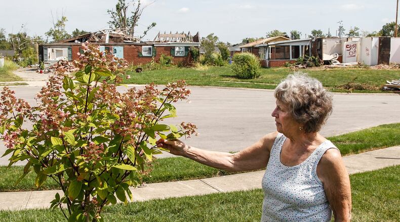 Lillian Martin of Brookville planted a new tree to replace one in her front yard destroyed on Deger Court along with several of her neighbors’ homes. CHRIS STEWART / STAFF
