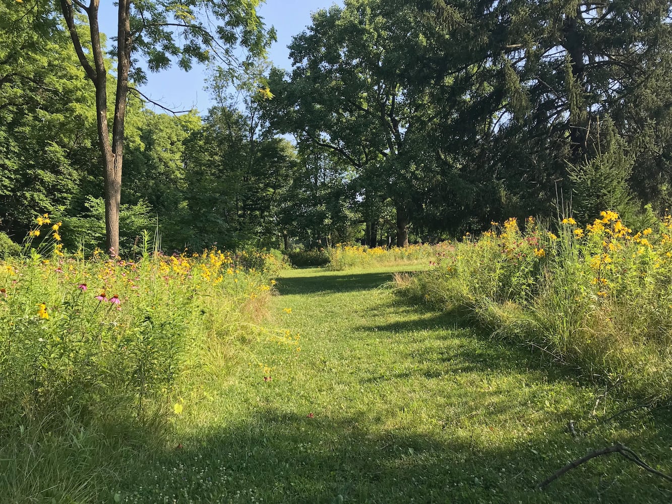 PHOTOS: This hidden park on the side of the road might be one of Dayton’s most peaceful spots