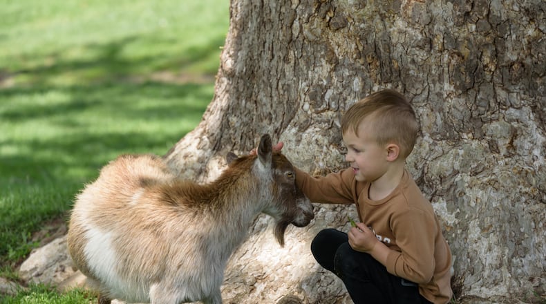 Learning Tree Farm, 3376 S. Union Rd. in Dayton, connects children with nature and animals. TOM GILLIAM / CONTRIBUTING PHOTOGRAPHER