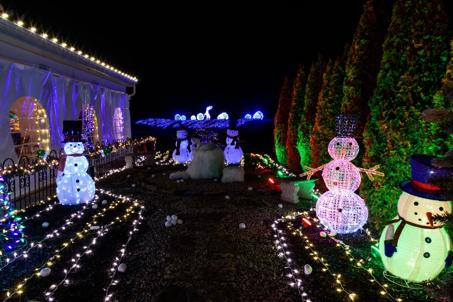 PHOTOS: Christmas Light Spectacular at Cedar Springs Pavilion