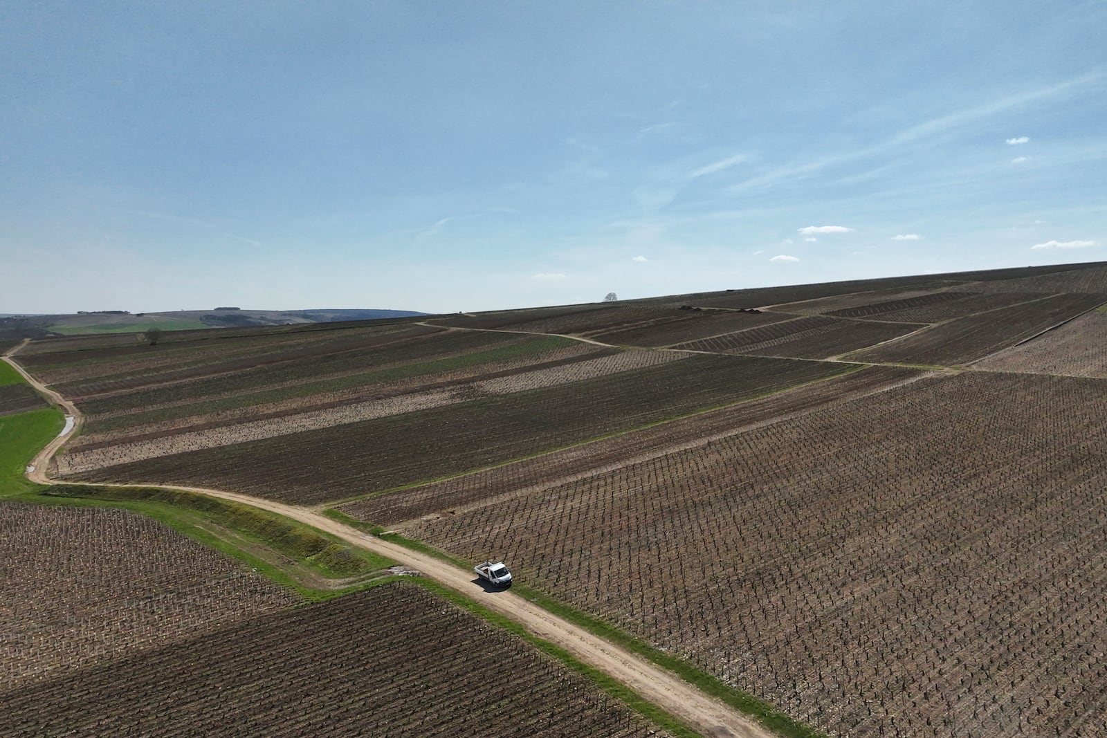 View of Chablis vineyards in Chablis, Burgundy region, eastern France, Thursday, April 3, 2025. (AP Photo/Thibault Camus)