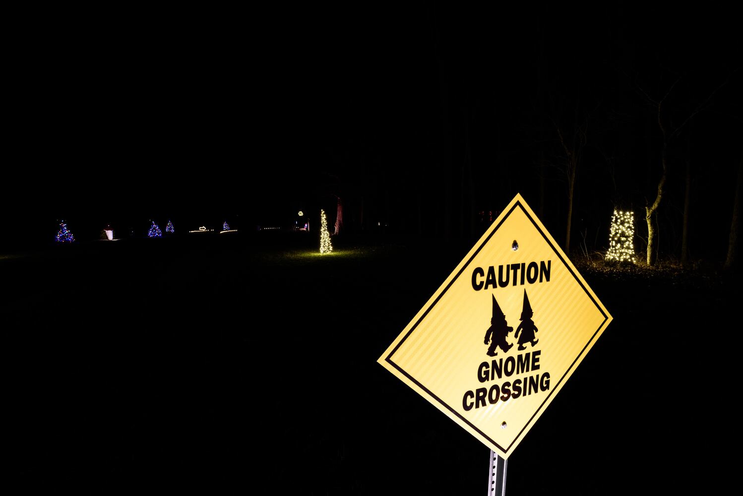 PHOTOS: Holiday Lights dazzle at Lost Creek Reserve in Troy
