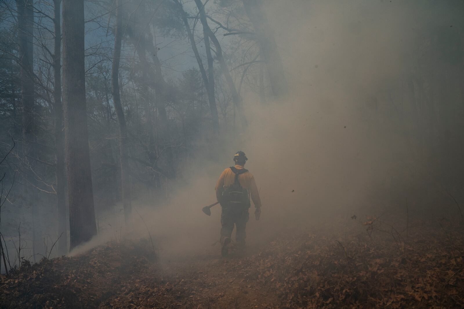 A firefighter works to control the Black Cove Fire Wednesday, March 26, 2025, in Saluda, N.C.. (AP Photo/Allison Joyce)