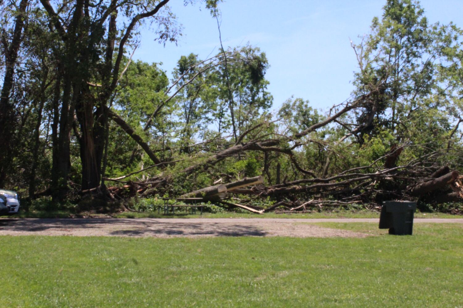 Photos: ‘extraordinary’ damage to parts of  Wegerzyn MetroPark, some parts mostly untouched