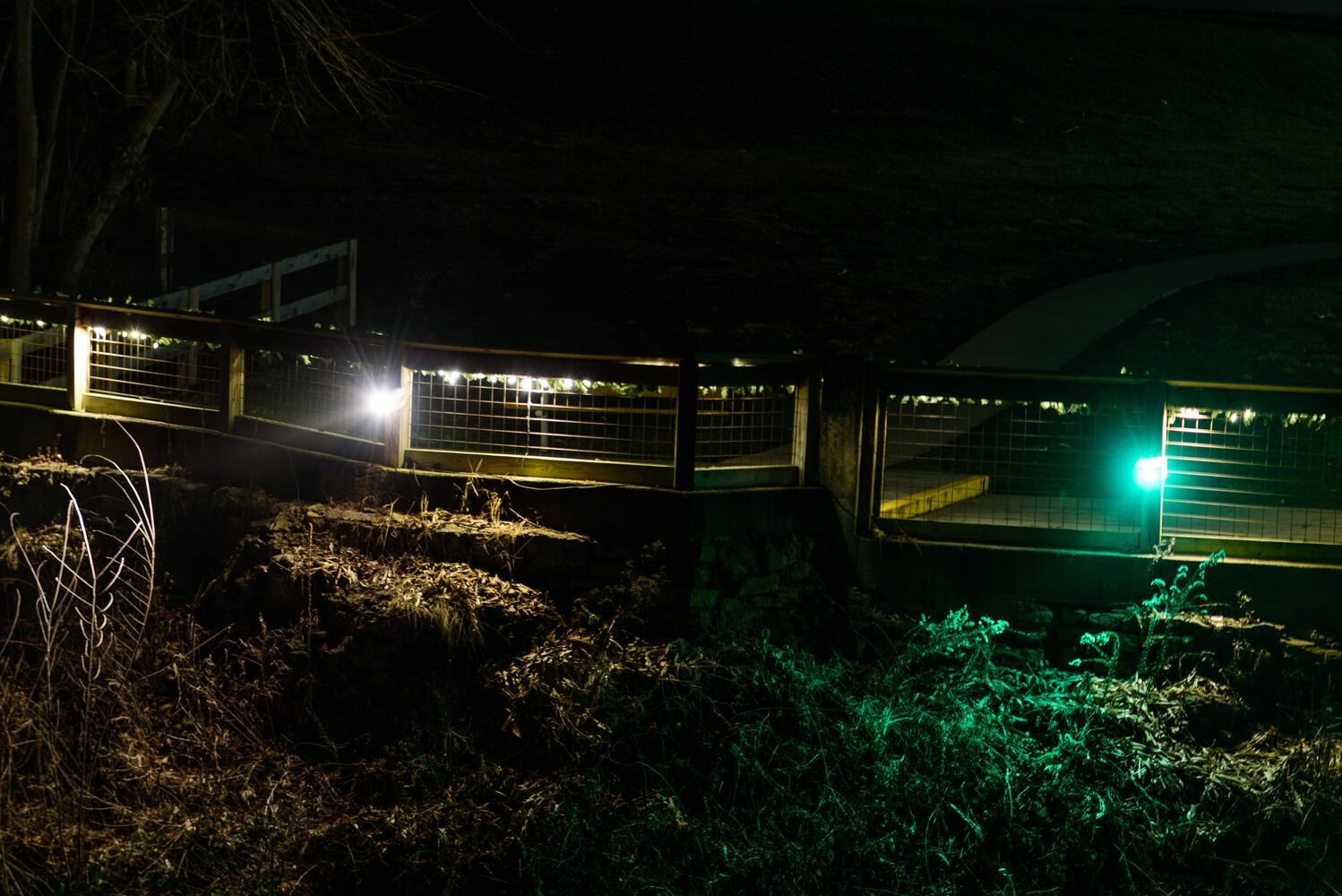 PHOTOS: Holiday lights at Cedar Cliff Falls near Cedarville