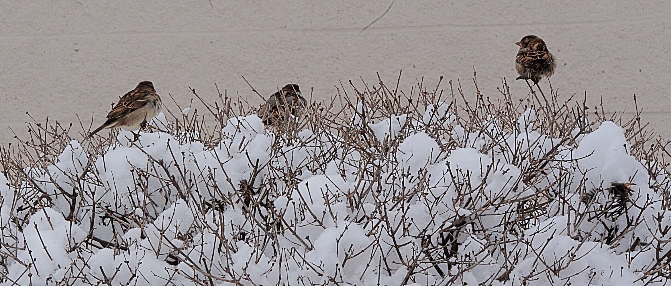 PHOTOS: Winter storm hits Miami Valley