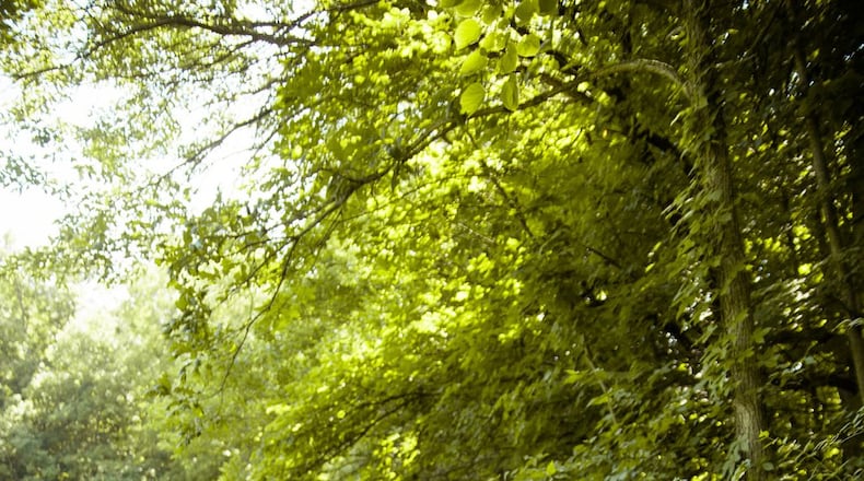 Running, jumping, climbing and splashing and other outdoor play can have a positive impact on learning, creativity and attitude. CONTRIBUTED/JESSICA VALE