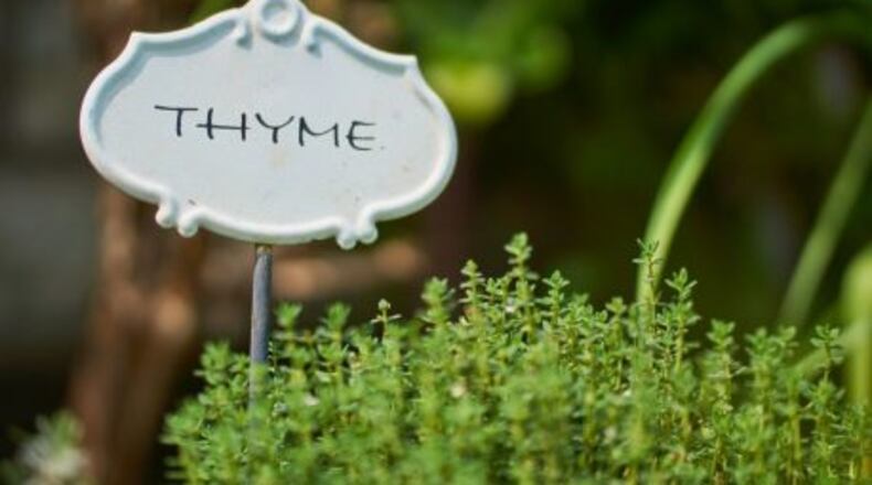 Once Upon a Thyme image