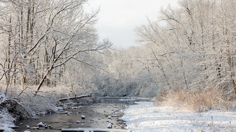 Snow covered trees line Elk Creek at Sebald MetroPark Tuesday, Dec. 2, 2025 in Madison Township. NICK GRAHAM/STAFF