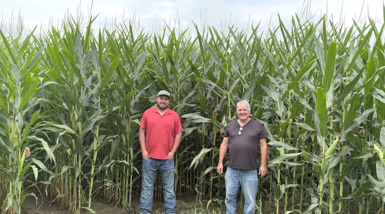 Jerry Lucas (right) and his son Grant at the bountiful field of corn they are growing along Nutt Road in Washington Township at the site of what was once George Smith’s Woodburn Farm, one of the most fabled thoroughbred facilities in the Midwest. In a real rarity, the towering stalks of field corn – which normally produce one ear – have two and sometimes three ears. They credit the rain, the heat and especially the soil fertilized for decades by racehorses and never used for farming. Jerry, Grant and Jerry’s brother Mark represent a five-generation farming family in Washington Township. They also grow several acres of sweet corn vegetables and fruit which they sell at three farmer’s markets in the area. In addition, the family runs the Candlebrook Events Center Ferry Road and puts on the Lucas Brothers’ Farm Fest every fall. TOM ARCHDEACON / CONTRIBUTED PHOTO