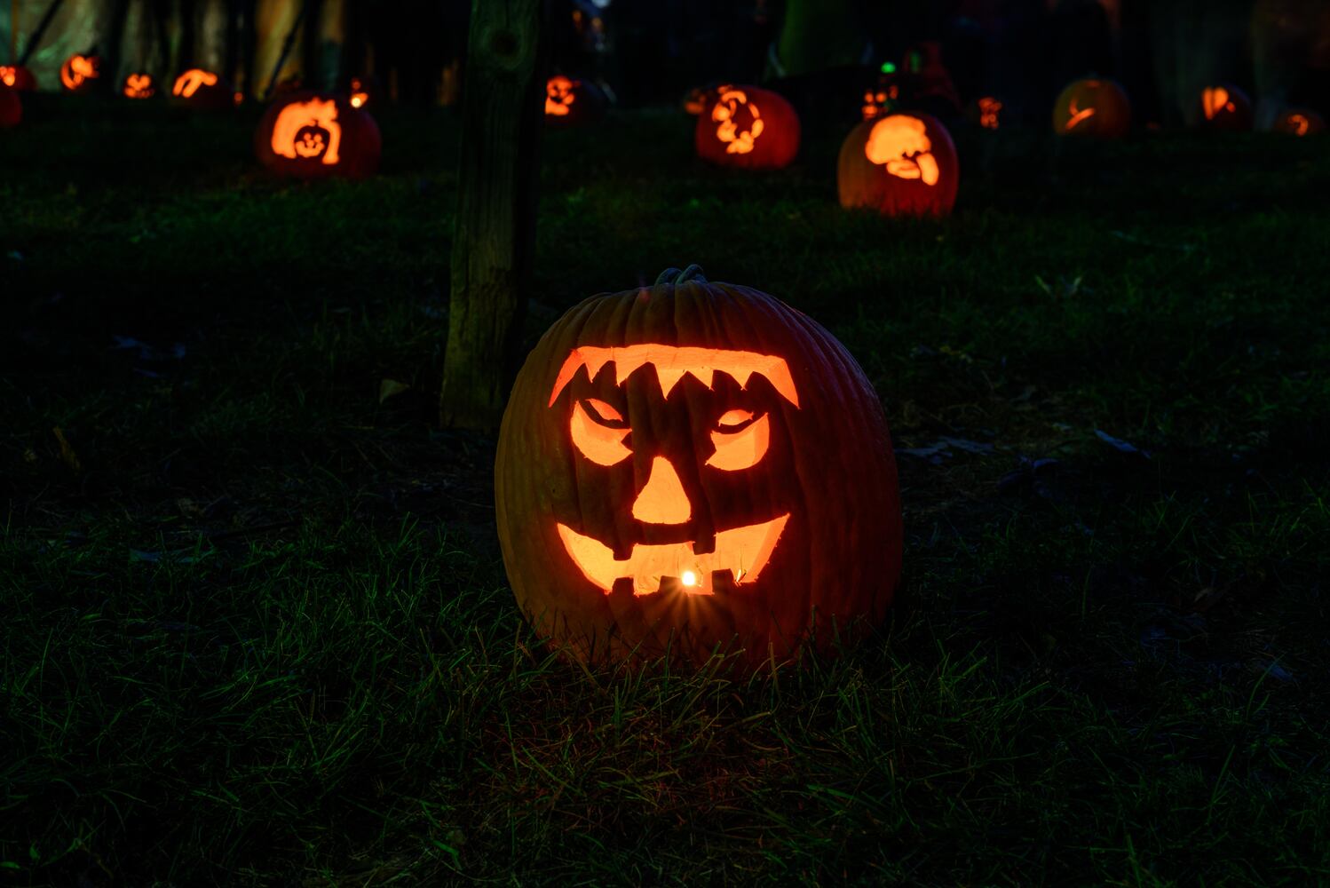 PHOTOS: The Stoddard Avenue Pumpkin Glow LIGHTS Dayton up for Halloween