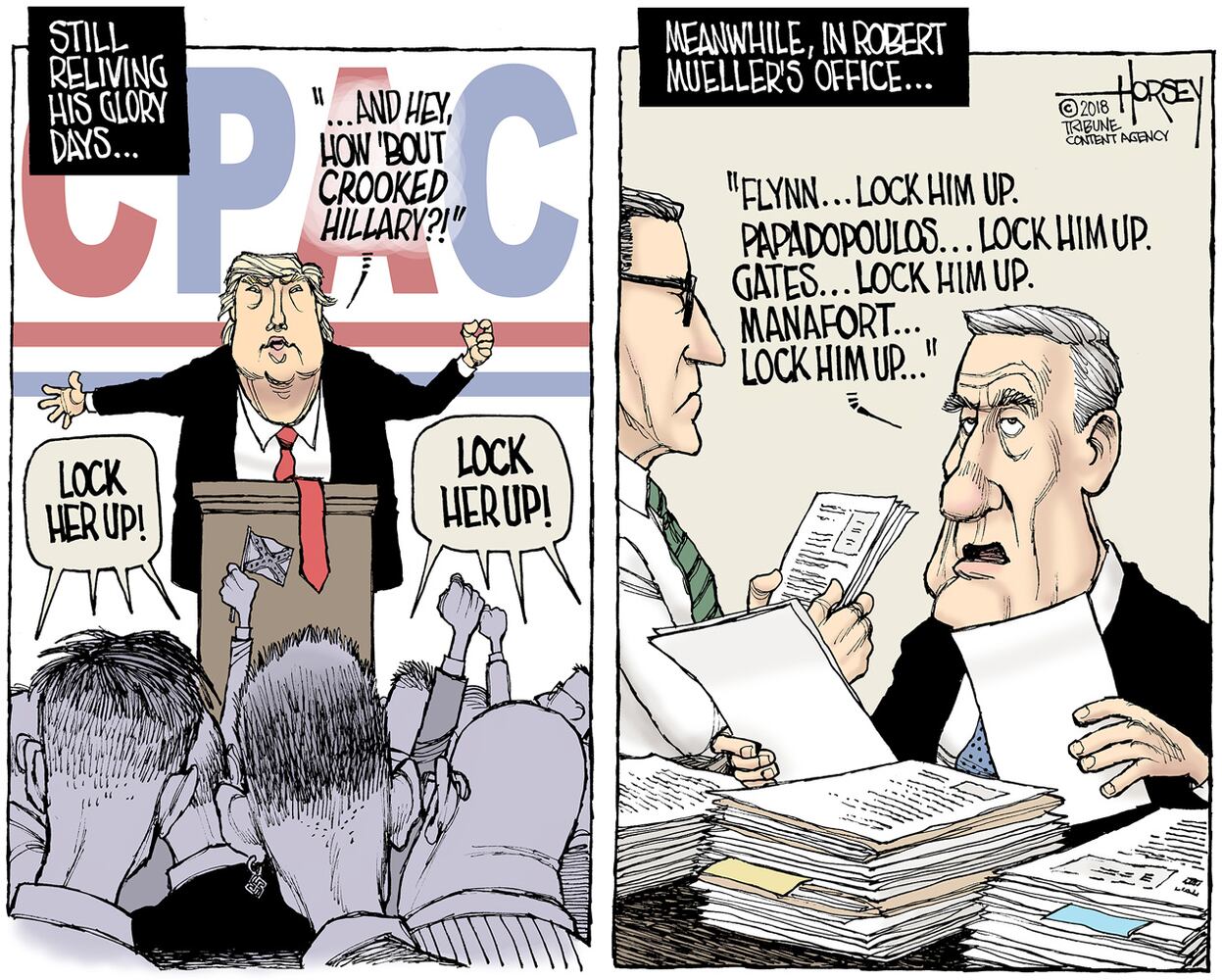 Week in cartoons: The NRA, arming teachers and more