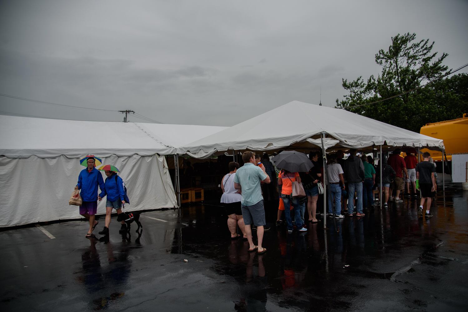 PHOTOS: 2018 Versailles Poultry Days