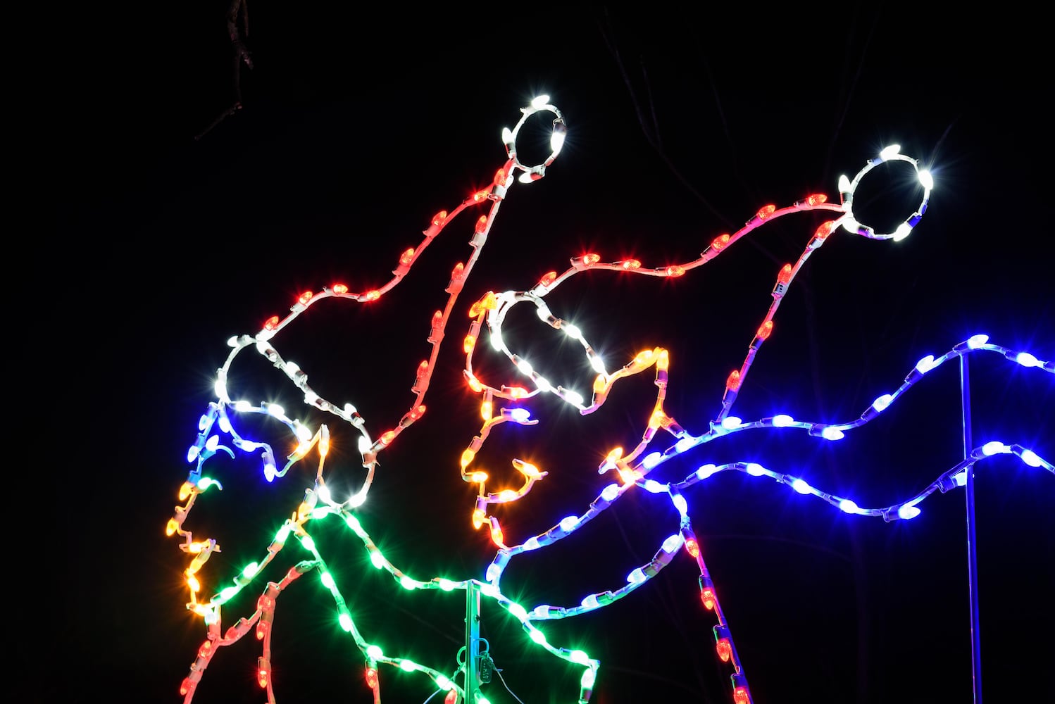 PHOTOS: A walk through Woodland Lights in Washington Township