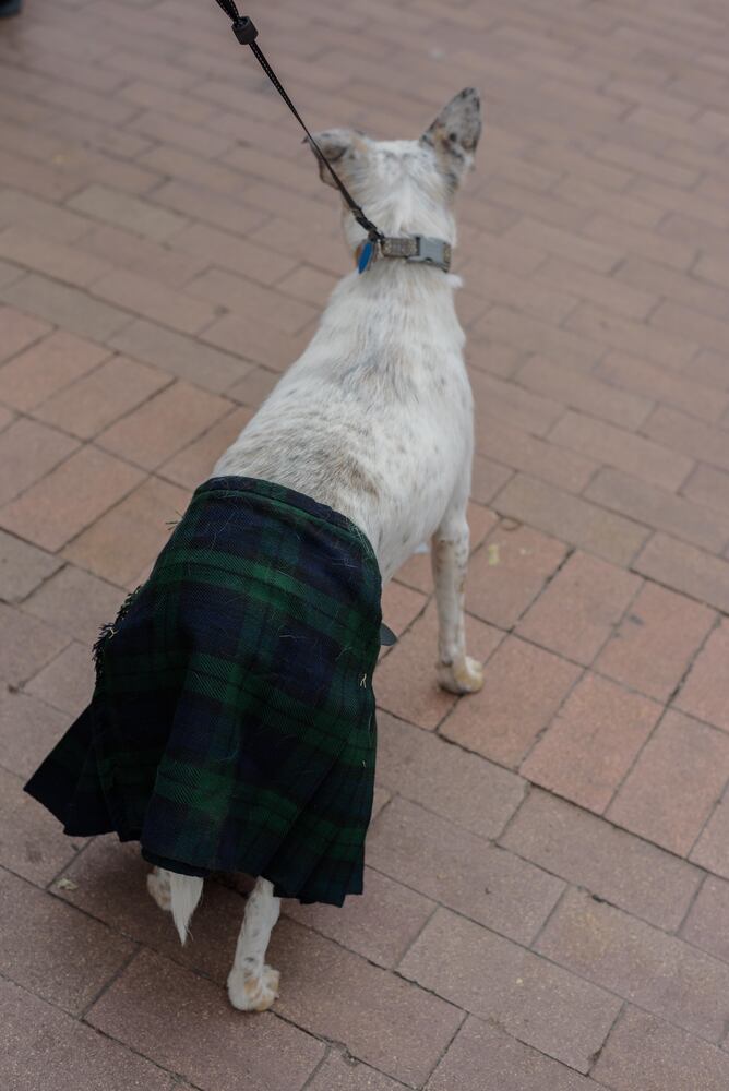 Celtic Fest 2018