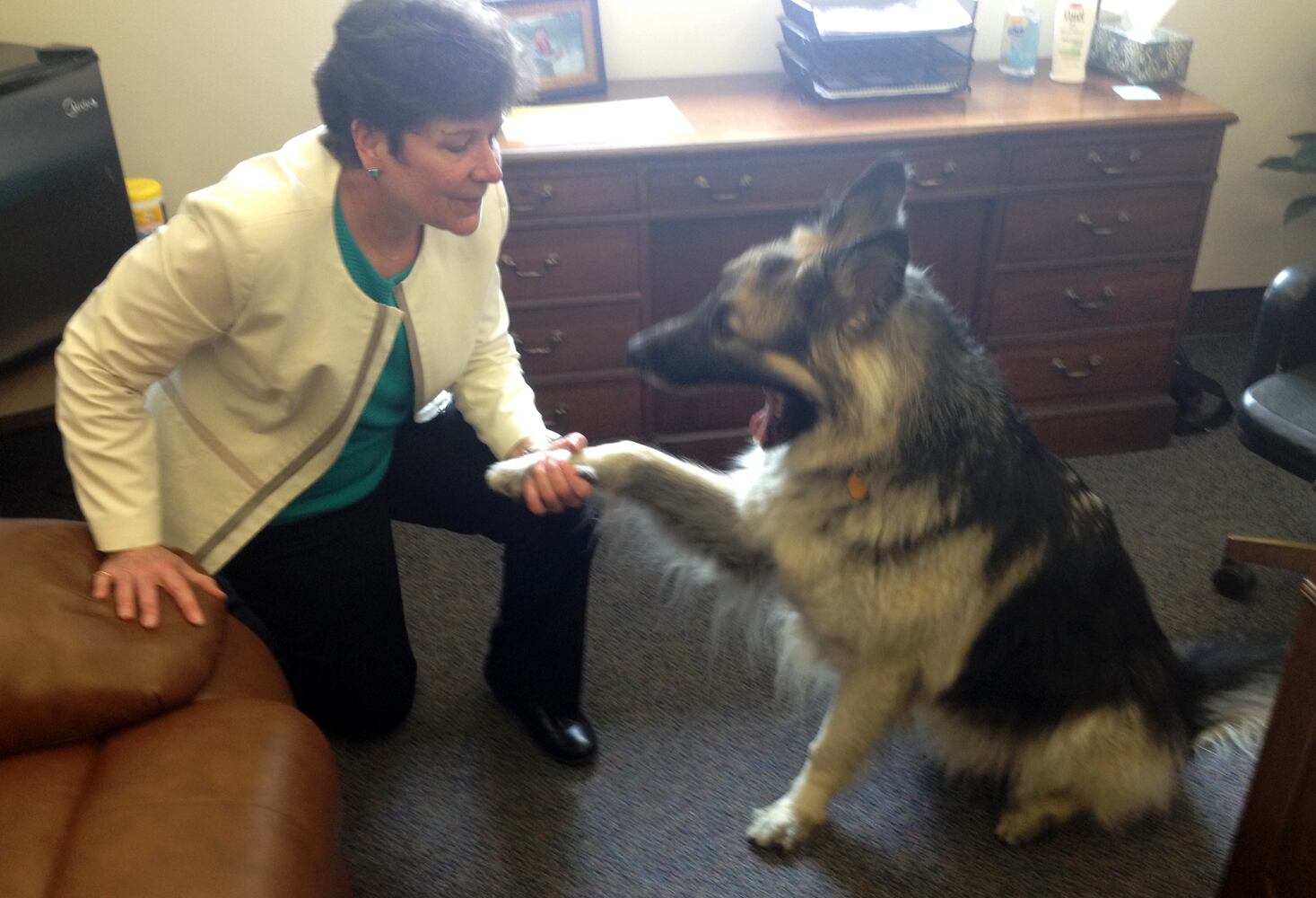 News hounds (5/14/15)