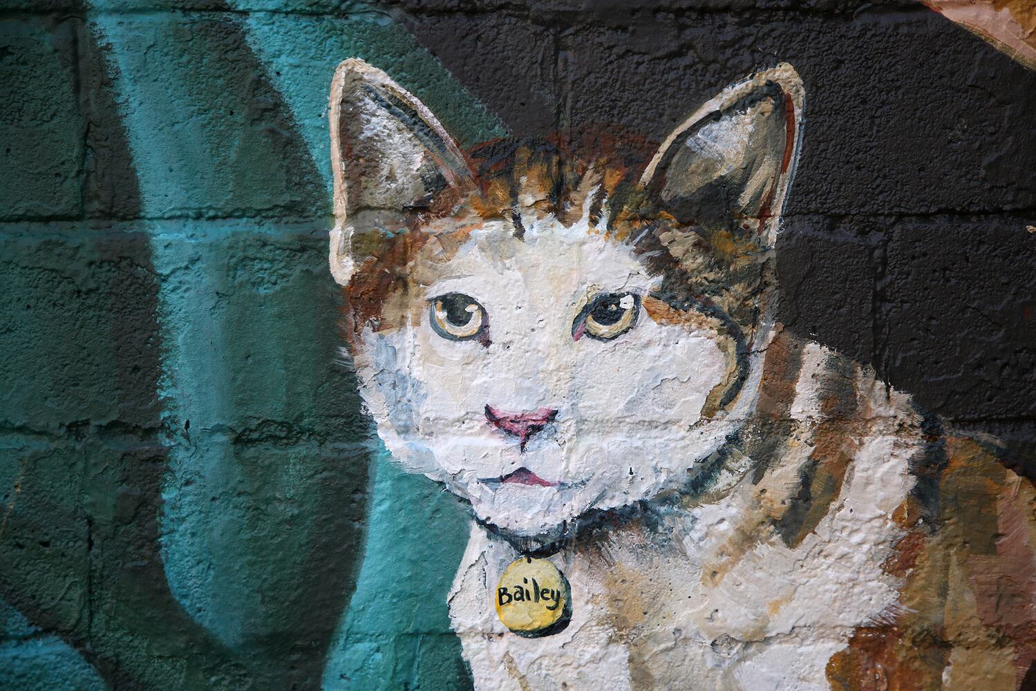 Cat mural in Dayton's Oregon District
